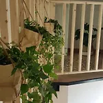 Studio Méditerranéenne
